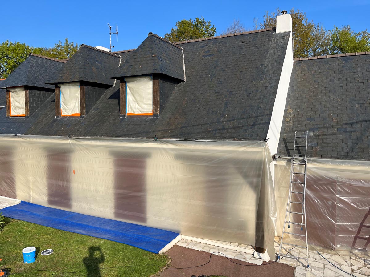 Traitement Hydrofuge toiture Avant 1