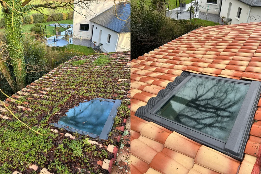 demoussage toiture nantes