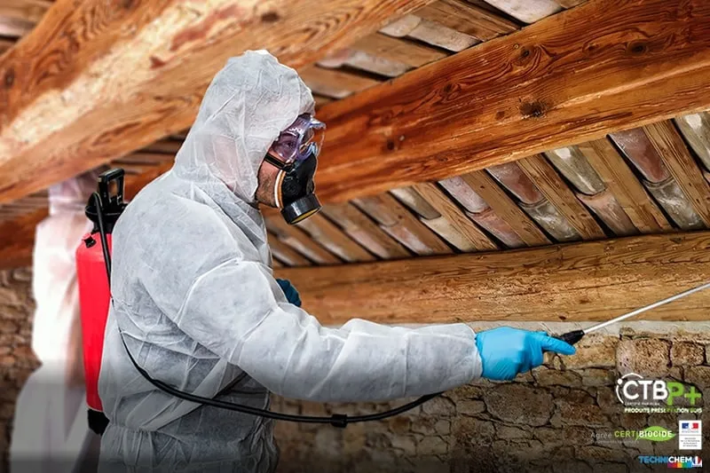 insecticide fongicide tous usages pour traitement bois contre insectes mangeurs bois champigons lignivores merule