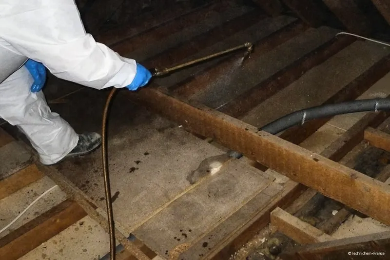 produit 3 en 1 insecticide anti termite fongicide traitement preventif pulverisation bois construction