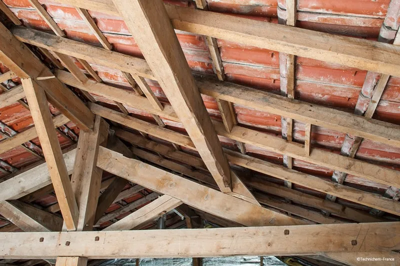 protection preventive charpentes bois construction anti champignon merule